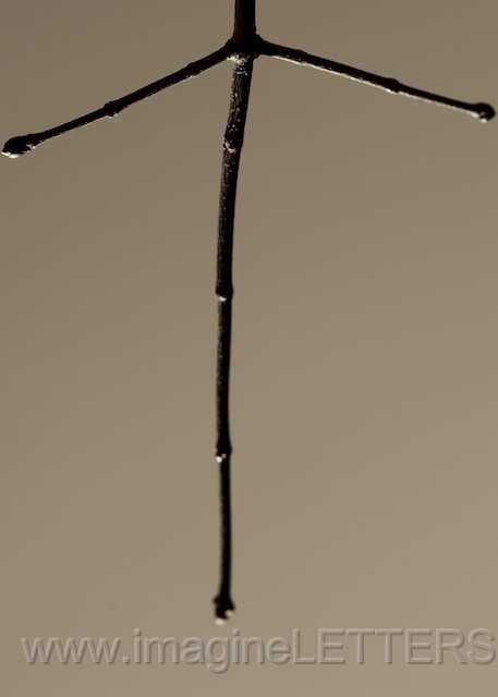 Wall_Art_Alphabet_Photography_Art_ 2164.jpg